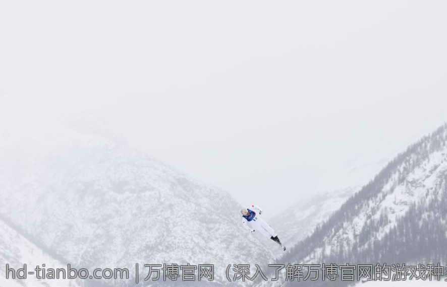 万博官网（深入了解万博官网的游戏种类）